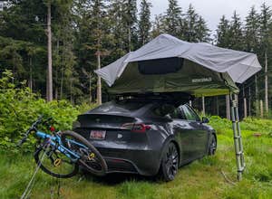 Tillamook State Forest Dispersed Camping