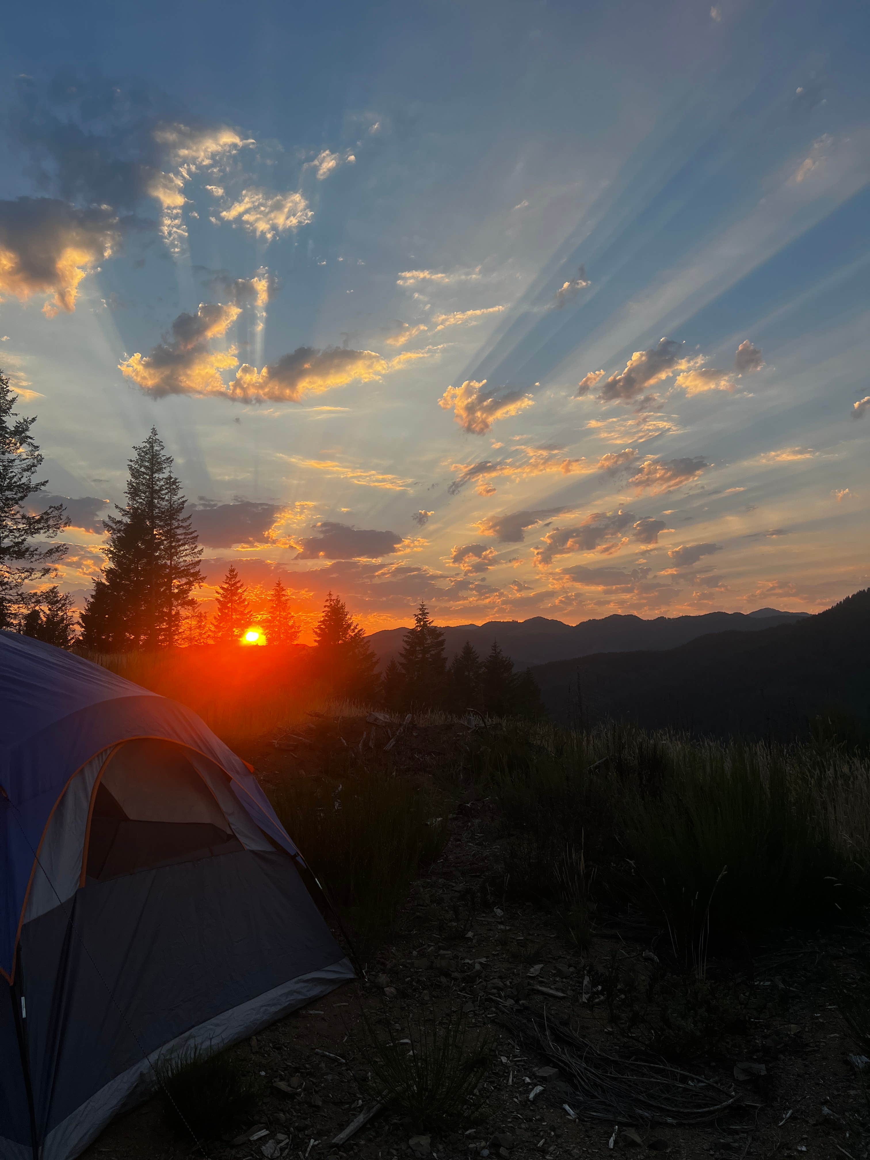 Camper submitted image from Tillamook State Forest Dispersed Camping - 1