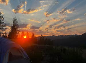 Tillamook State Forest Dispersed Camping