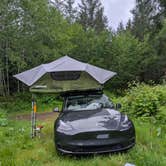 Review photo of Tillamook State Forest Dispersed Camping by Michael P., May 20, 2025