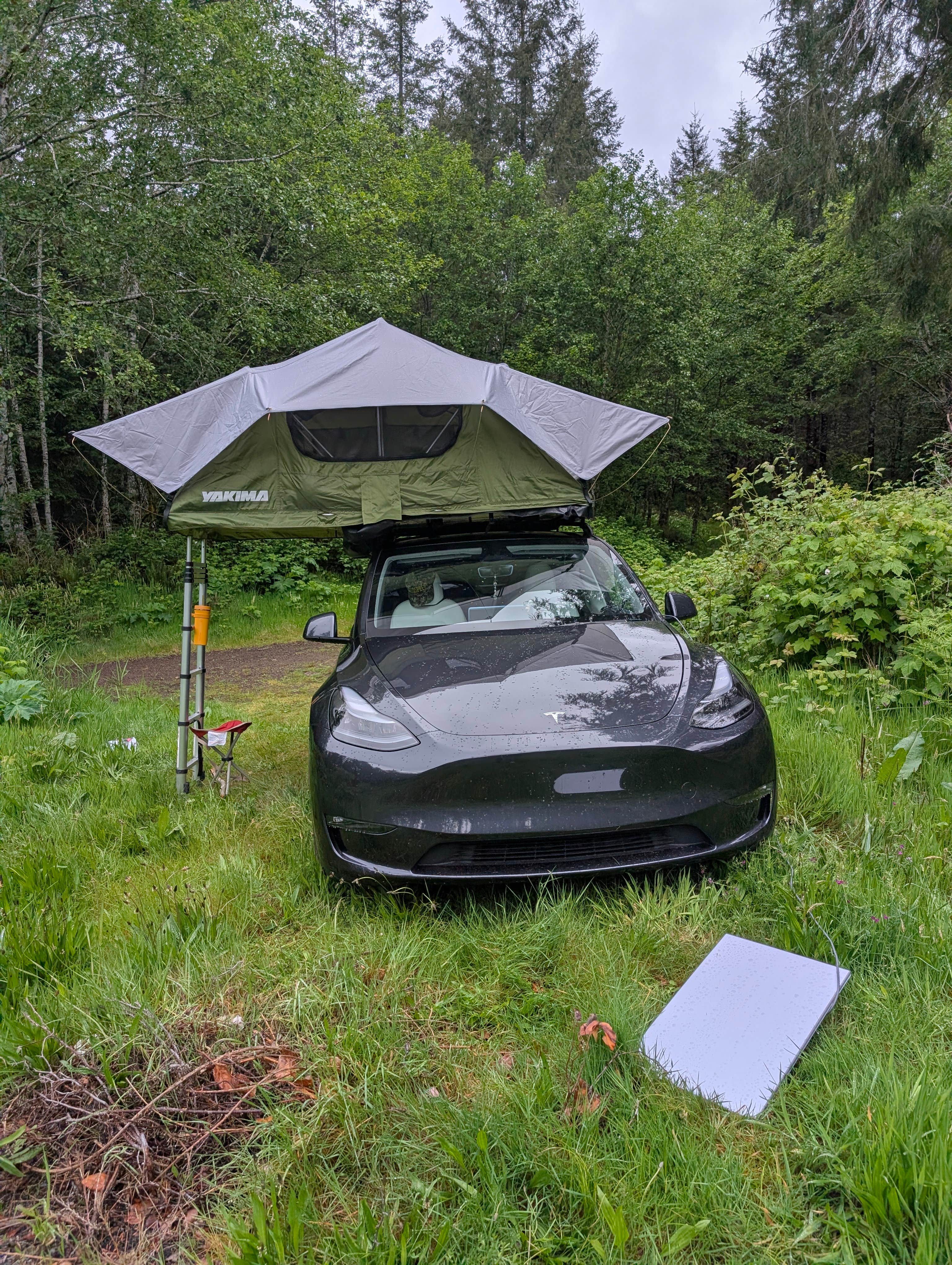 Camper submitted image from Tillamook State Forest Dispersed Camping - 1