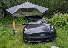 Tillamook State Forest Dispersed Camping