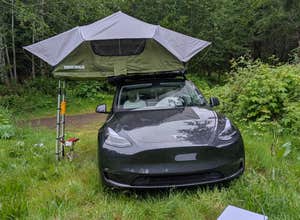 Tillamook State Forest Dispersed Camping