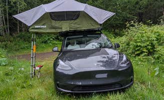 Michael P.'s photo at Tillamook State Forest Dispersed Camping near Banks, OR