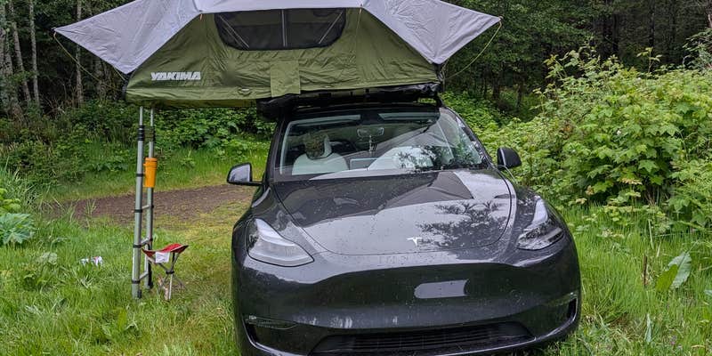 Camper submitted image from Tillamook State Forest Dispersed Camping