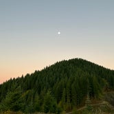 Review photo of Tillamook State Forest Dispersed Camping by Samantha D., November 2, 2023