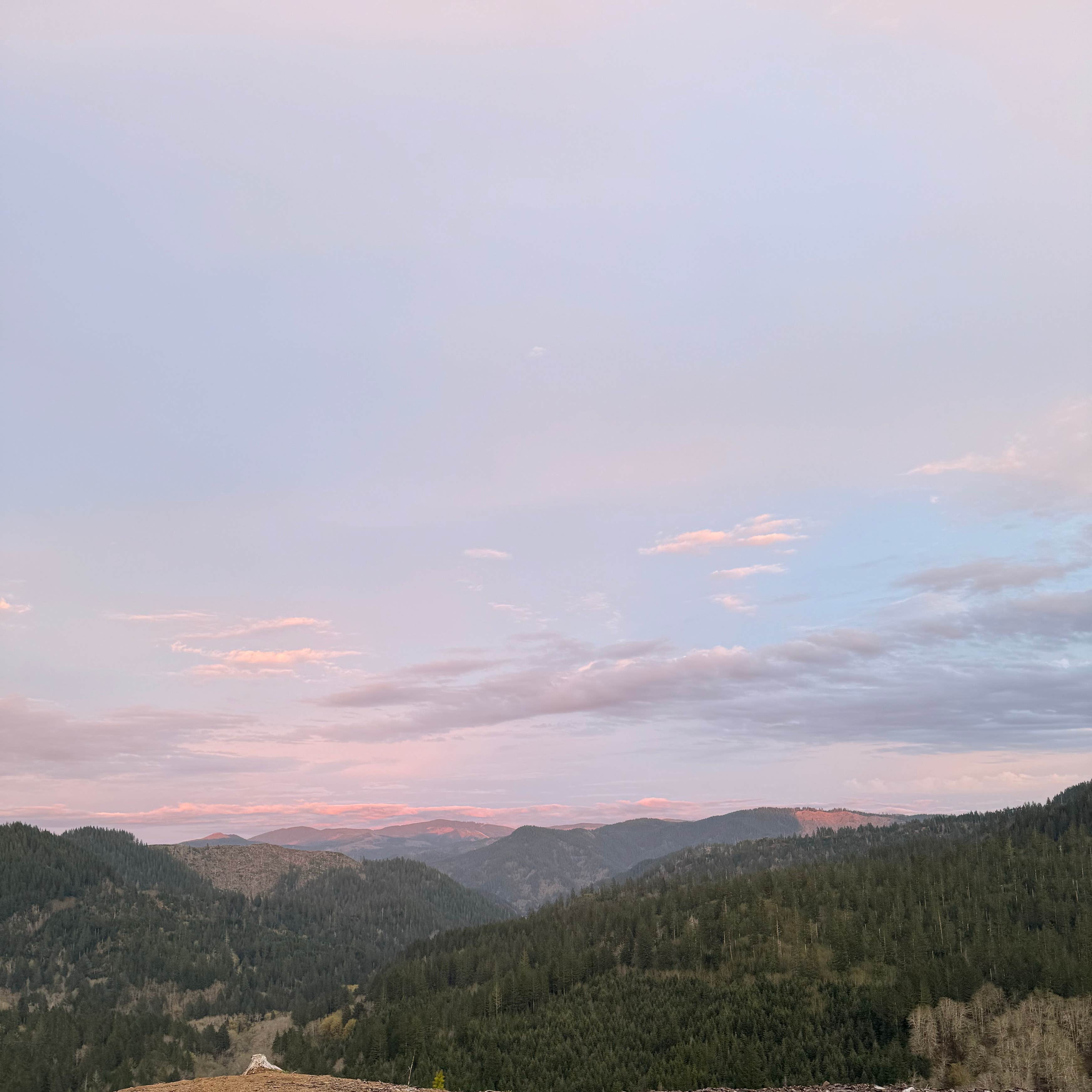 Tillamook State Forest Dispersed Camping | Tillamook State Forest, OR