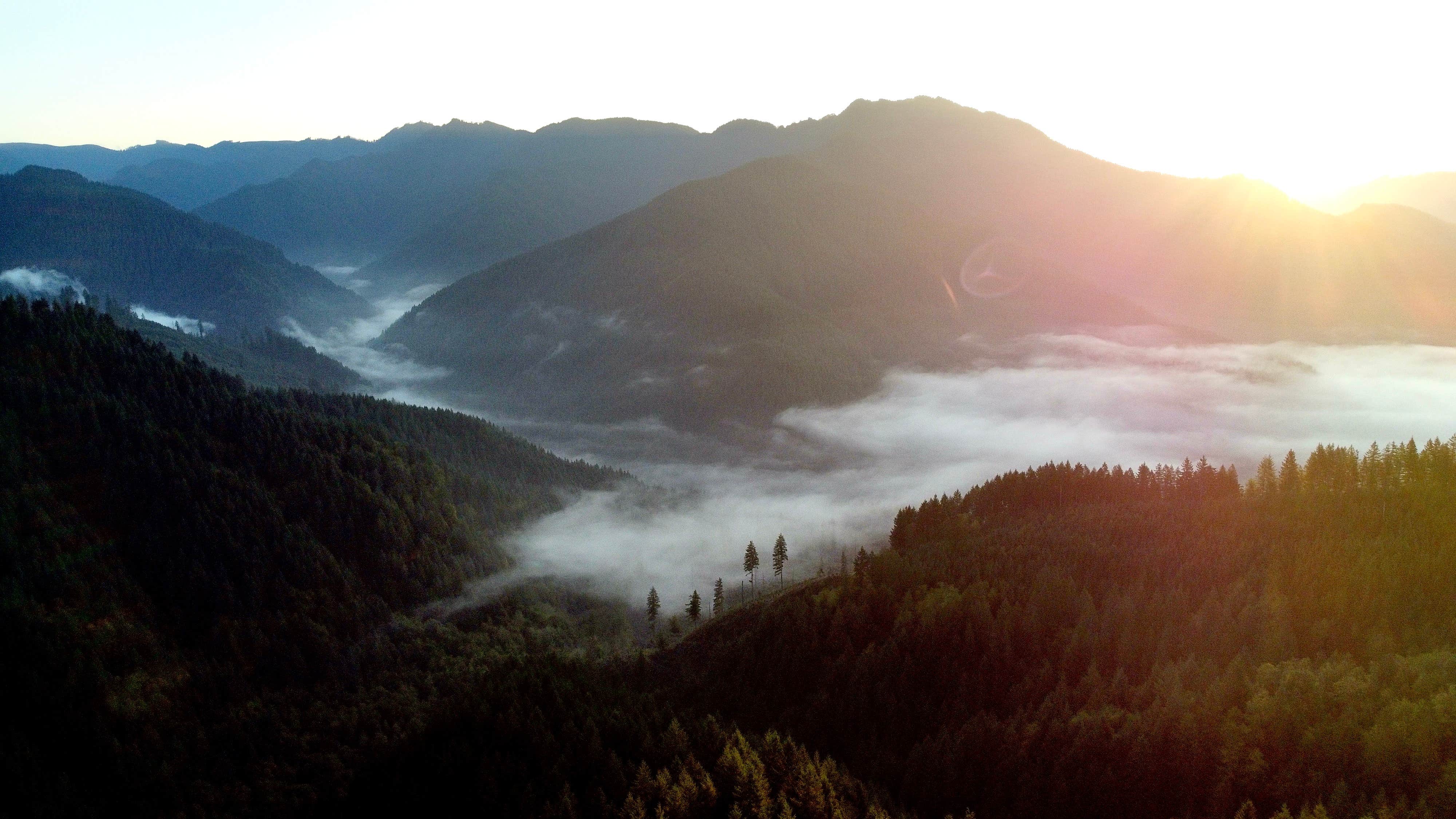 Emily D.'s photo of a dispersed camping area at Tillamook State Forest Dispersed Camping near Wilsonville, OR