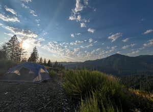 Tillamook State Forest Dispersed Camping