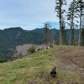Review photo of Tillamook State Forest Dispersed Camping by Kyle B., April 15, 2024