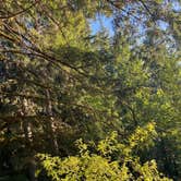 Review photo of Tillamook State Forest Jordan Creek OHV Campground & Staging Area by Lainey P., August 21, 2026