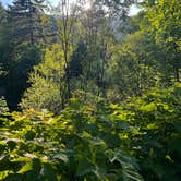 Review photo of Tillamook State Forest Jordan Creek OHV Campground & Staging Area by Lainey P., August 21, 2026