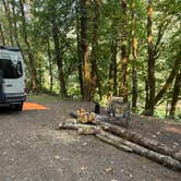 Review photo of Tillamook State Forest Morrison Eddy Campground by Tod , August 5, 2026