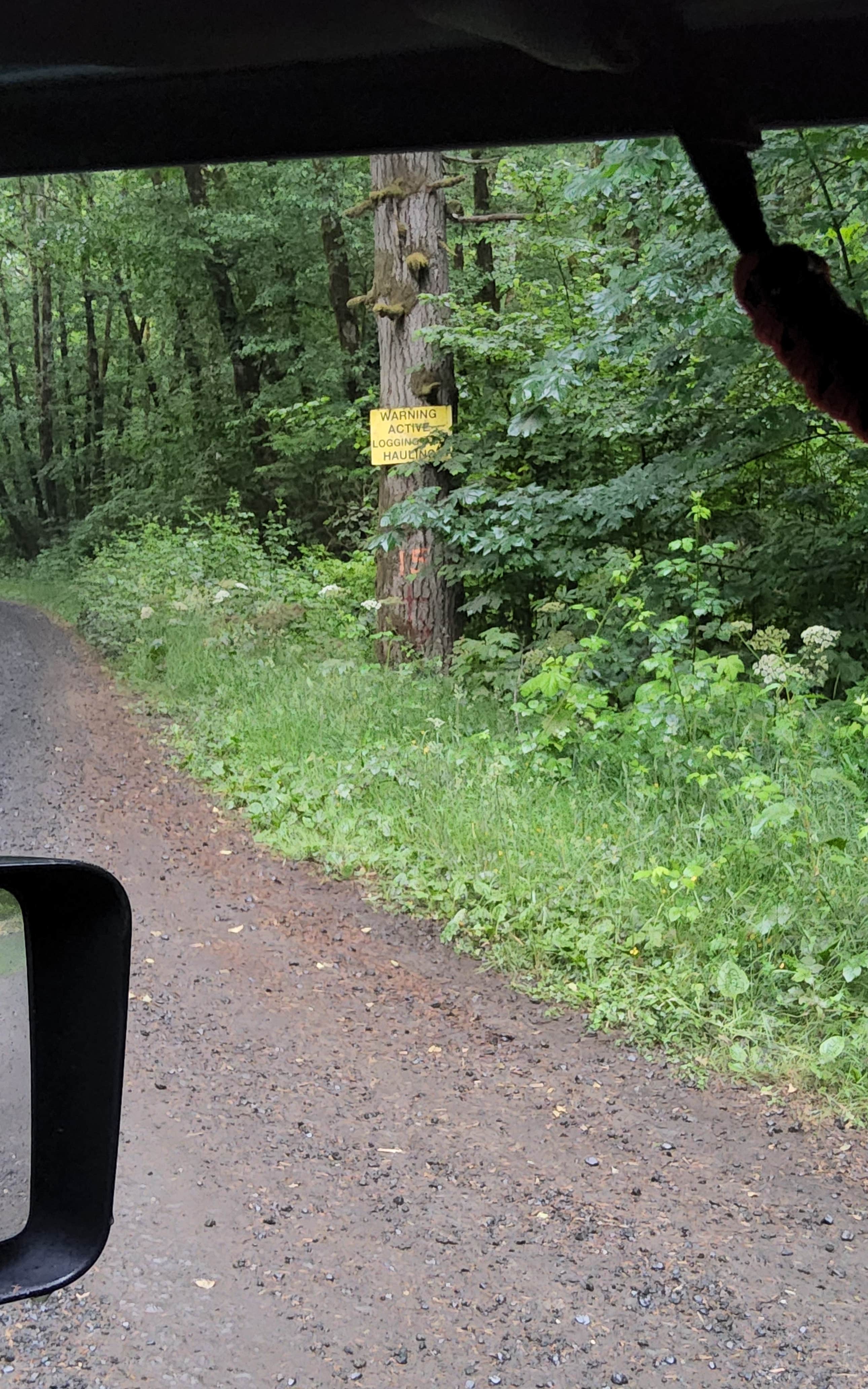 Camper-submitted photo at North Fork Trask near Hillsboro, OR