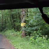 Review photo of North Fork Trask by SpentBrassOffroad B., June 19, 2025