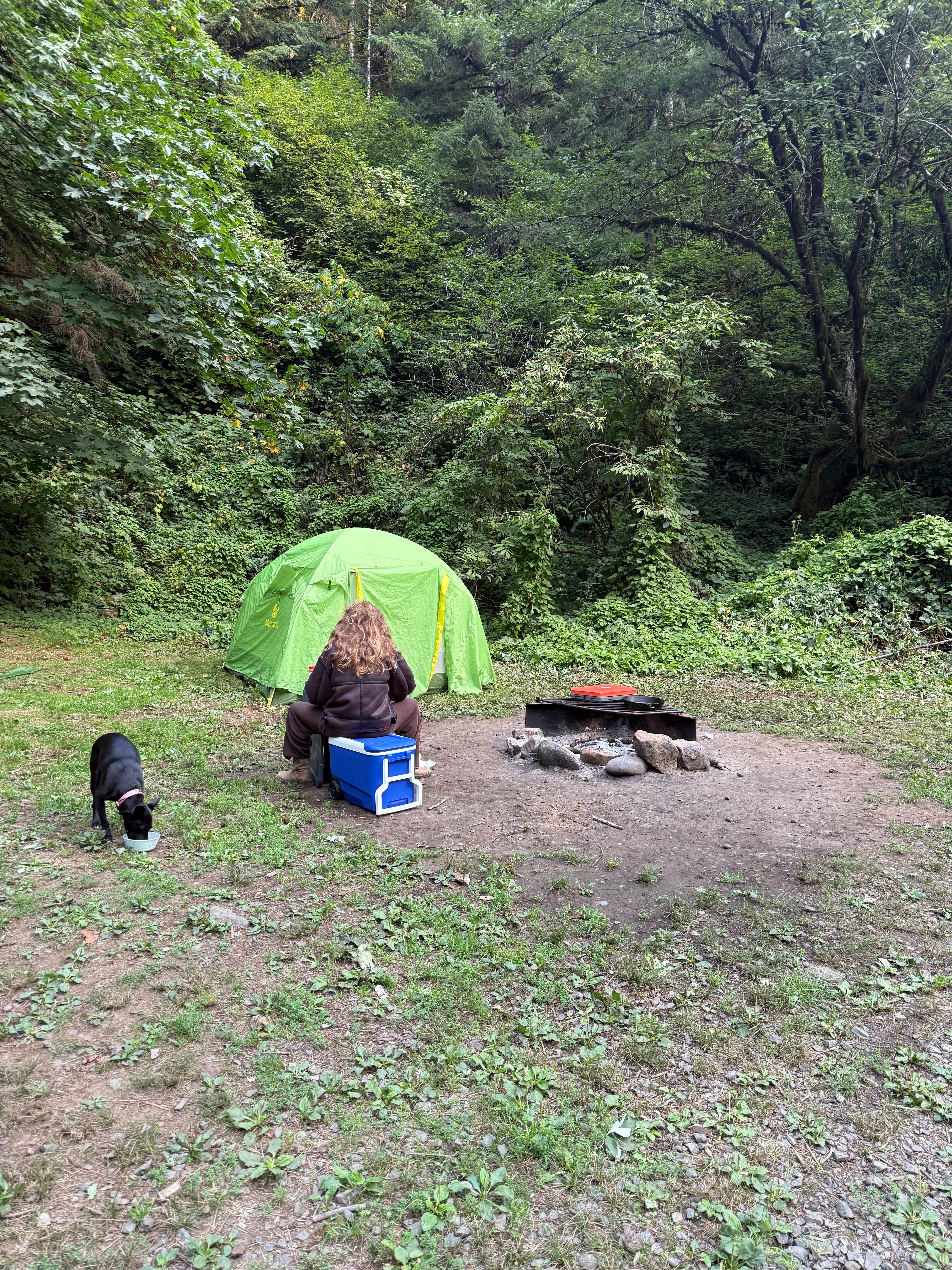 Camper-submitted photo at North Fork Trask near Hillsboro, OR