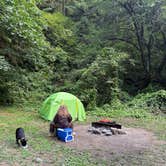 Review photo of North Fork Trask by Braxton C., September 23, 2025
