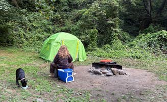 Braxton C.'s photo of camping with pets at North Fork Trask near Tillamook, OR