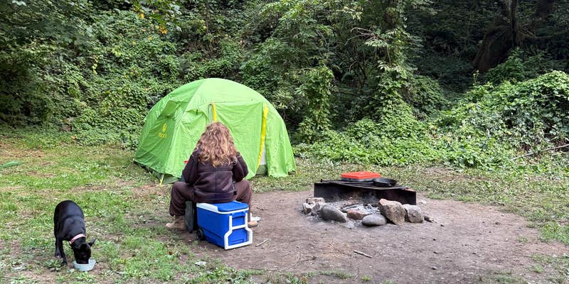 Camper submitted image from North Fork Trask