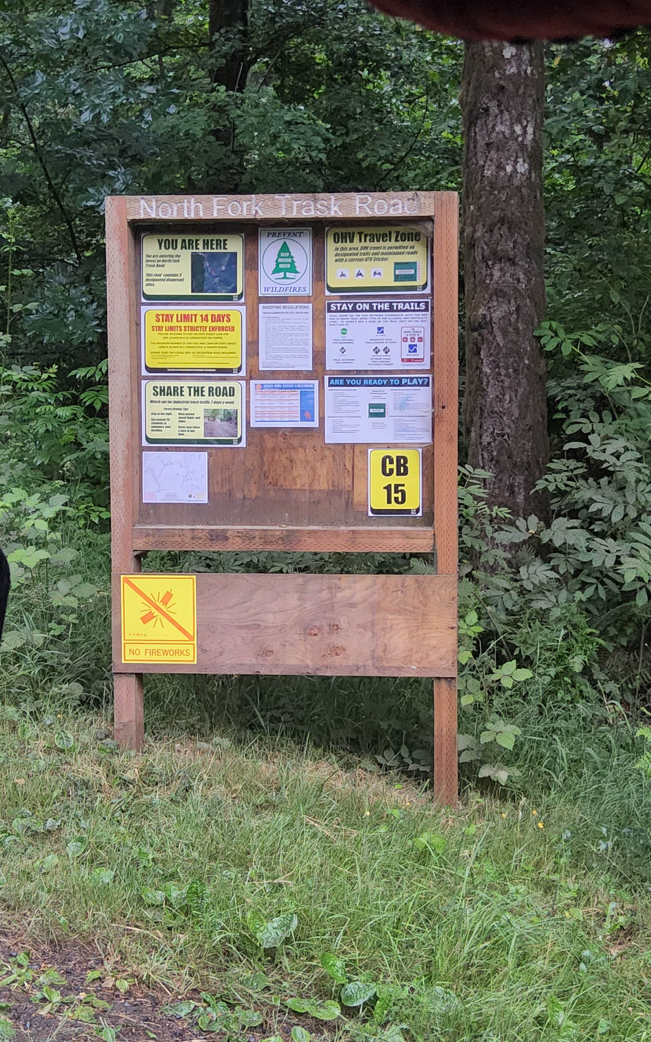 Camper-submitted photo at North Fork Trask near Hillsboro, OR