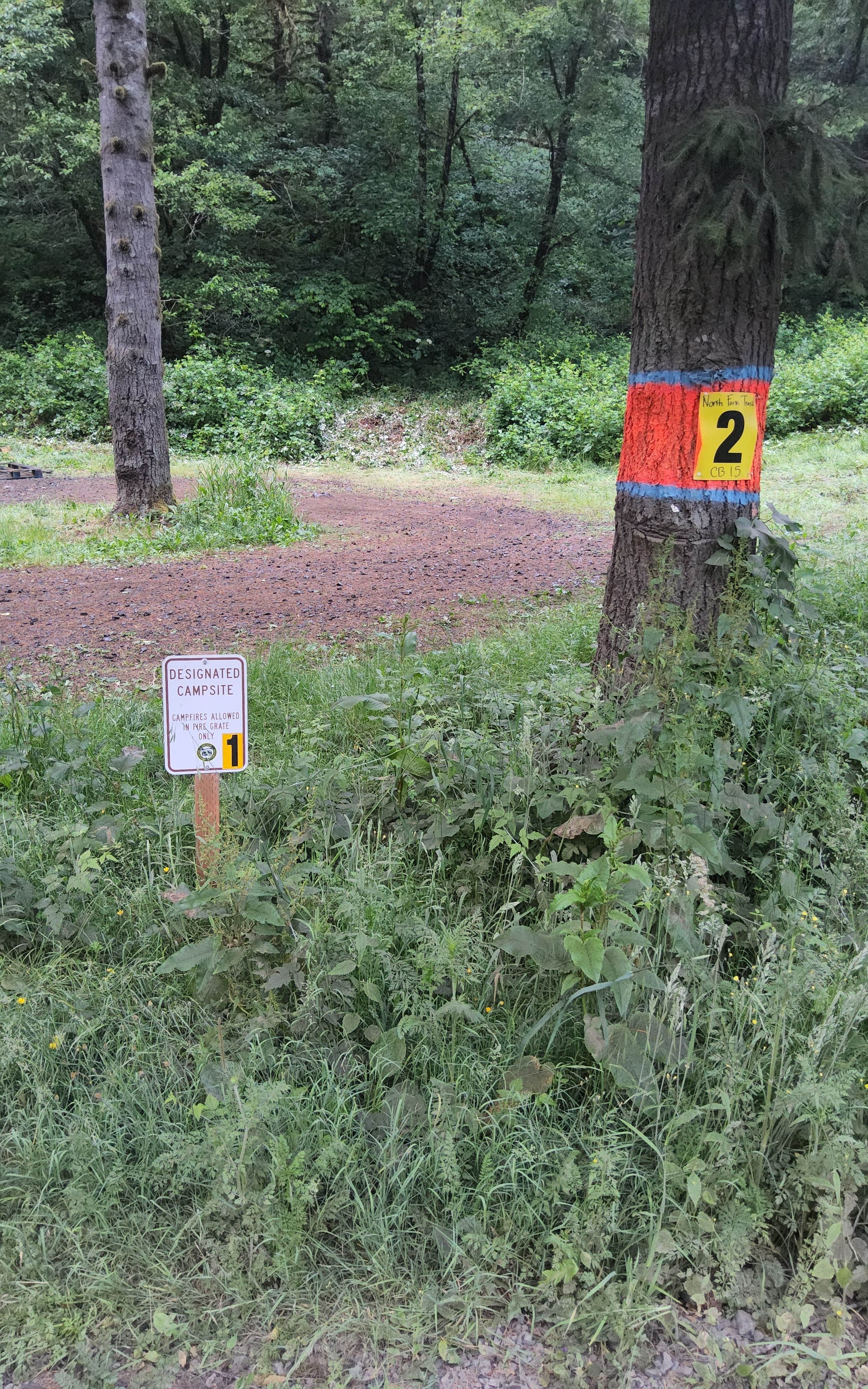 Camper-submitted photo at North Fork Trask near Hillsboro, OR