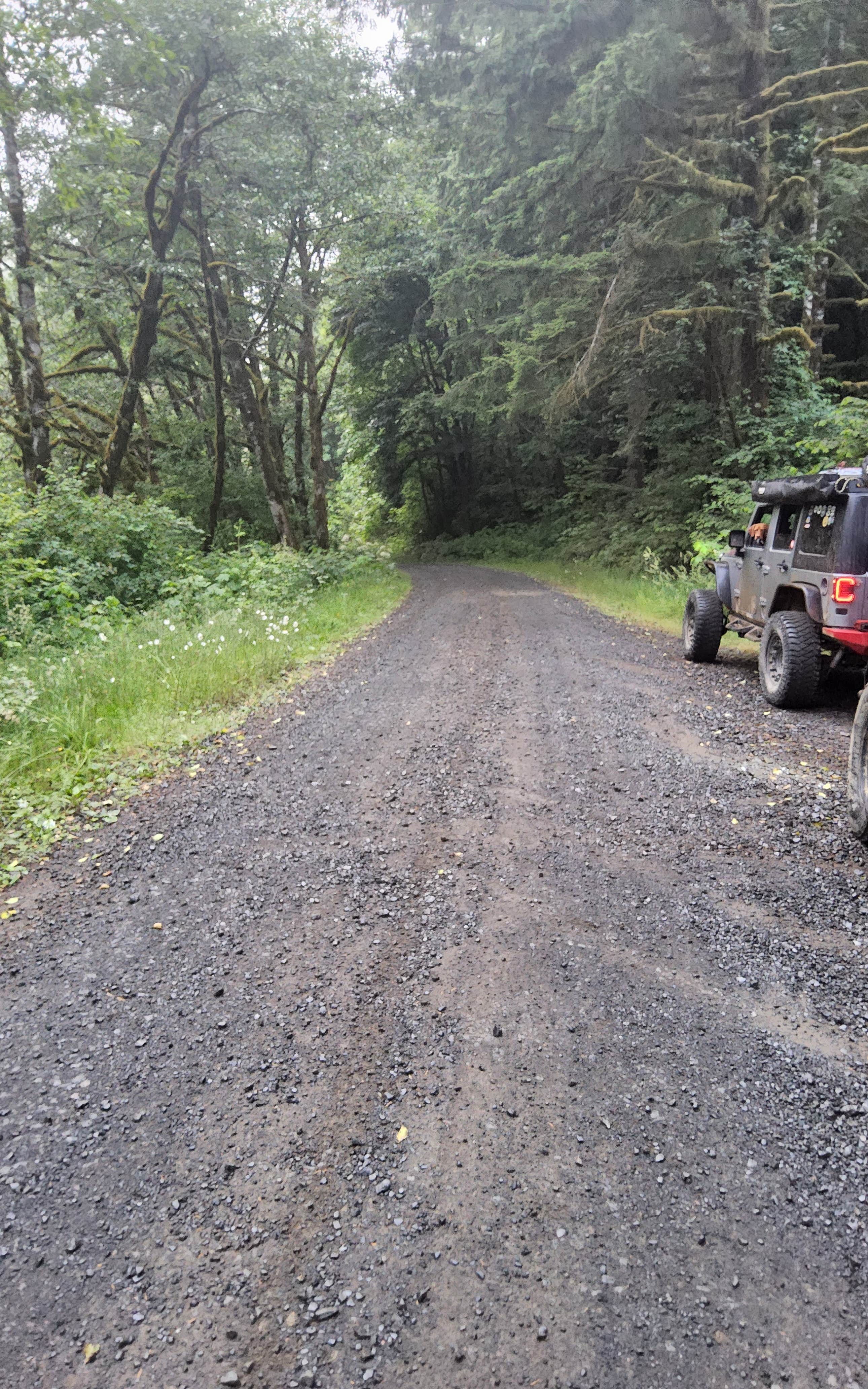Camper submitted image from North Fork Trask - 4