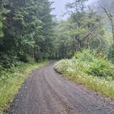 Review photo of North Fork Trask by SpentBrassOffroad B., June 19, 2025