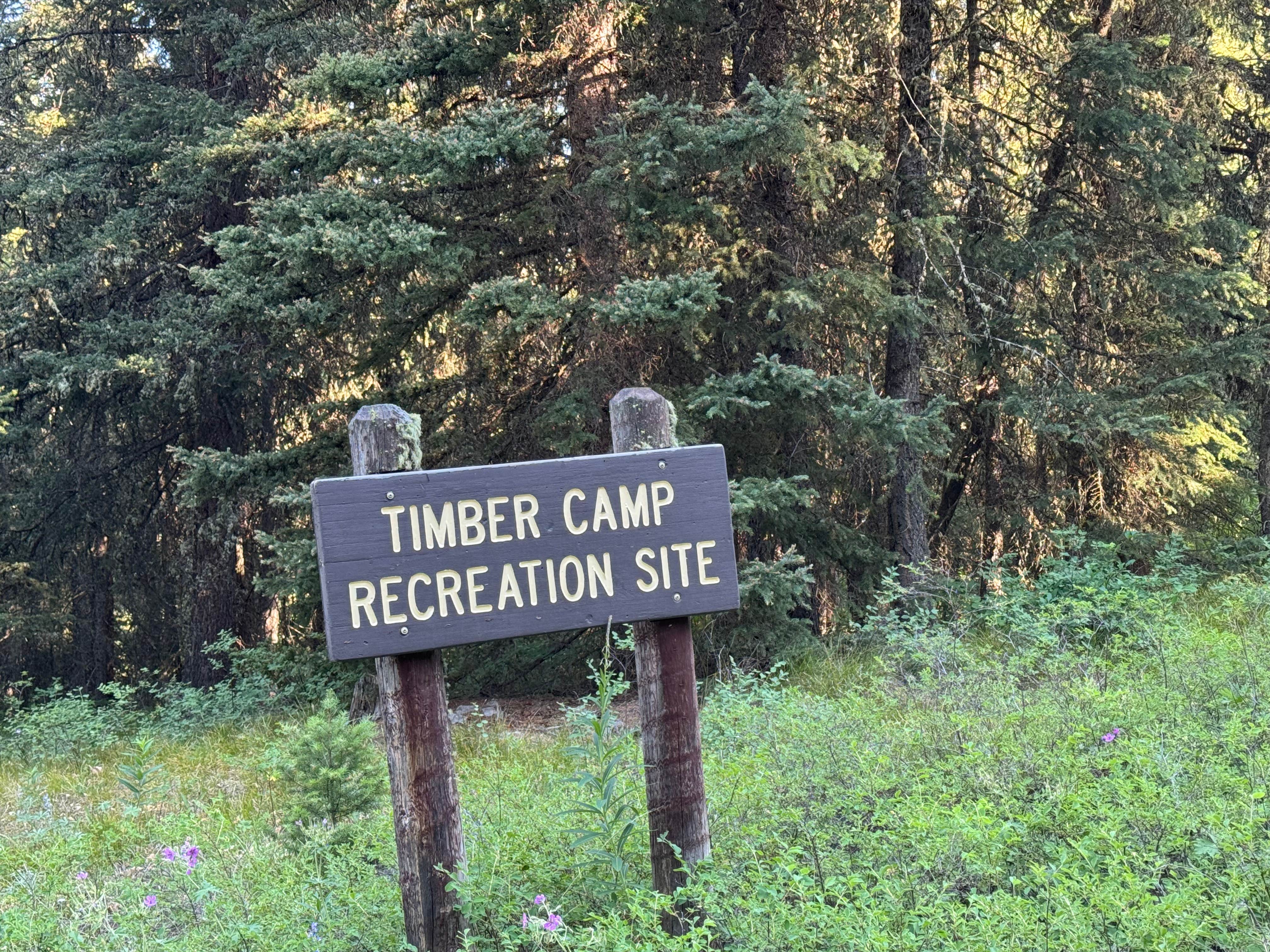 Camper submitted image from Timber Camp Campground - 2