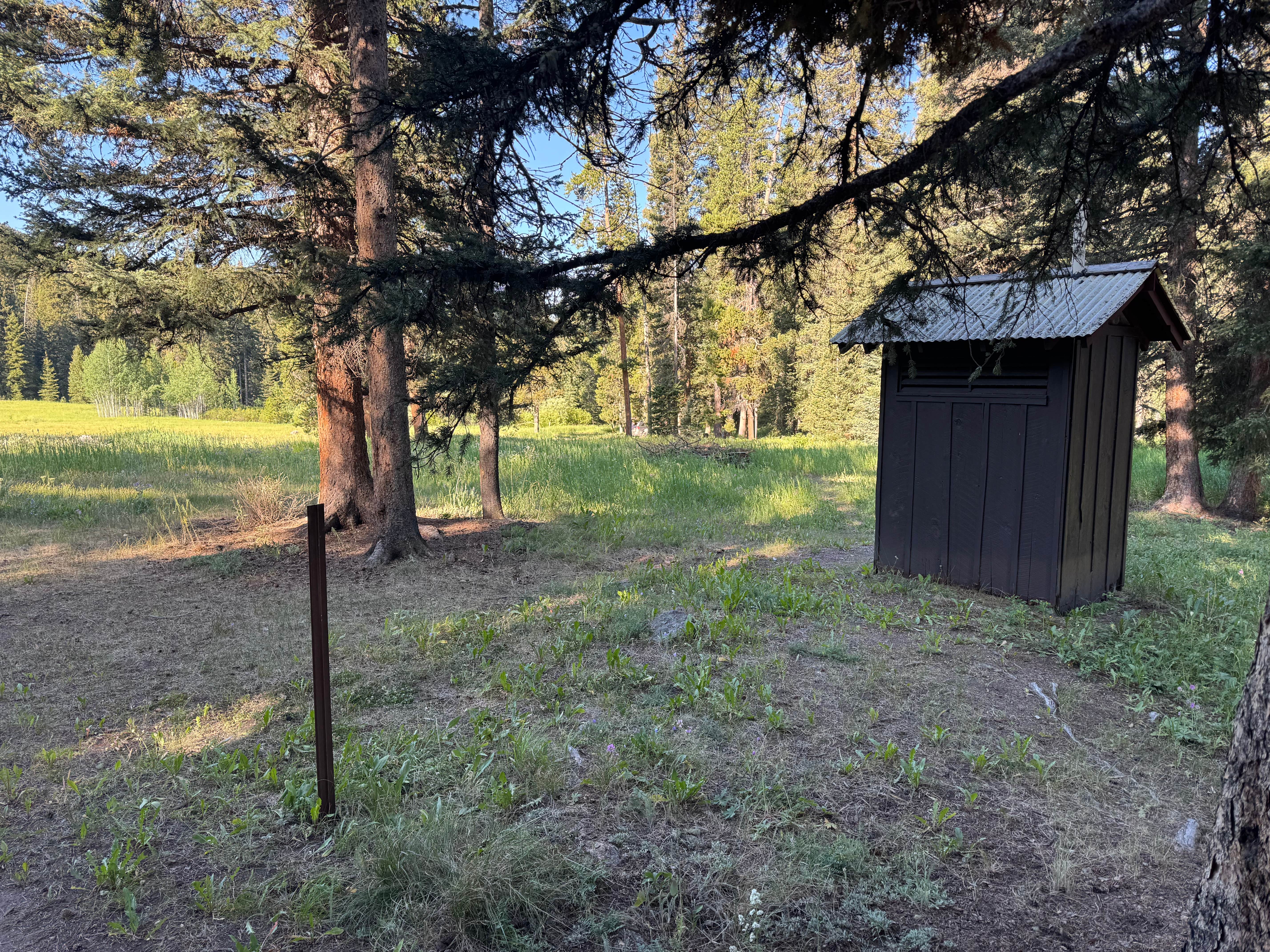 Camper submitted image from Timber Camp Campground - 4
