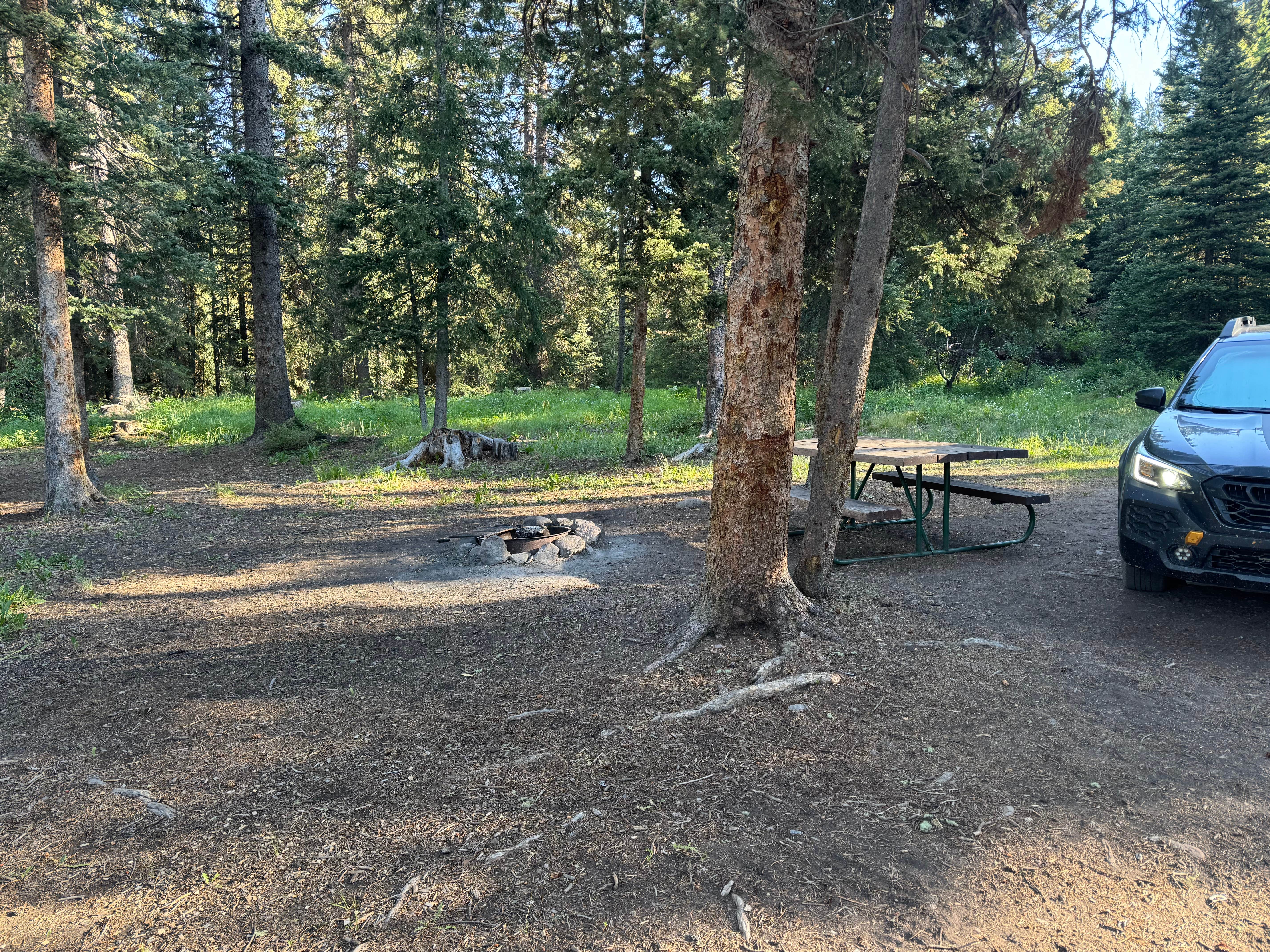 Camper submitted image from Timber Camp Campground - 5
