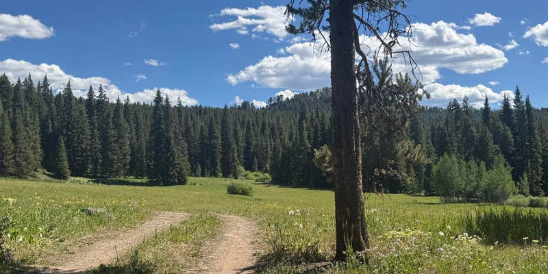 Camper submitted image from Timber Camp Campground