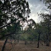 Review photo of Timber Mesa Trailhead by Robert H., June 25, 2024