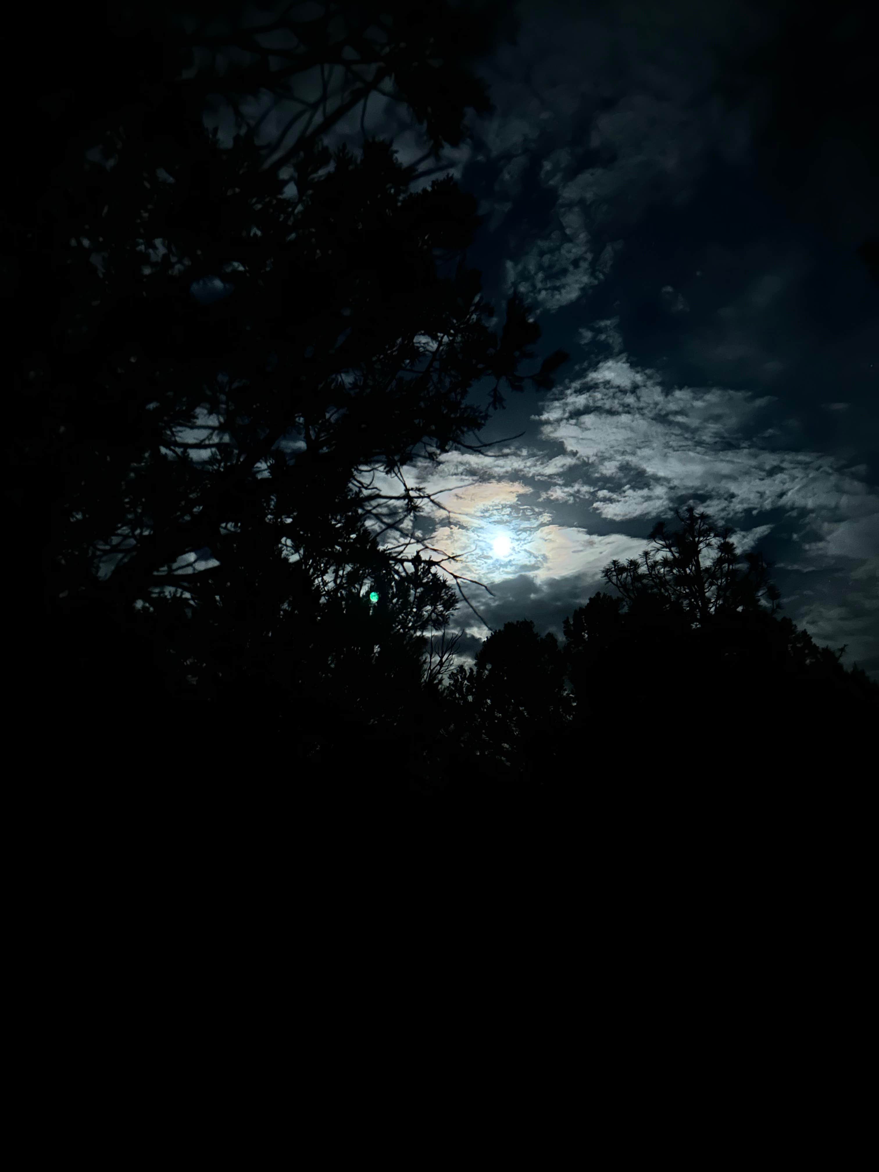 Camper-submitted photo at Timber Mesa Trailhead near Whiteriver, AZ