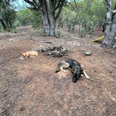 Review photo of Timber Mesa Trailhead by Robert H., June 25, 2024