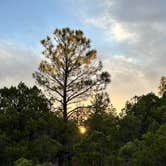 Review photo of Timber Mesa Trailhead by Robert H., June 25, 2024