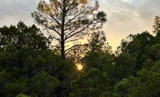 Robert H.'s photo of a dispersed camping area at Timber Mesa Trailhead near Vernon, AZ