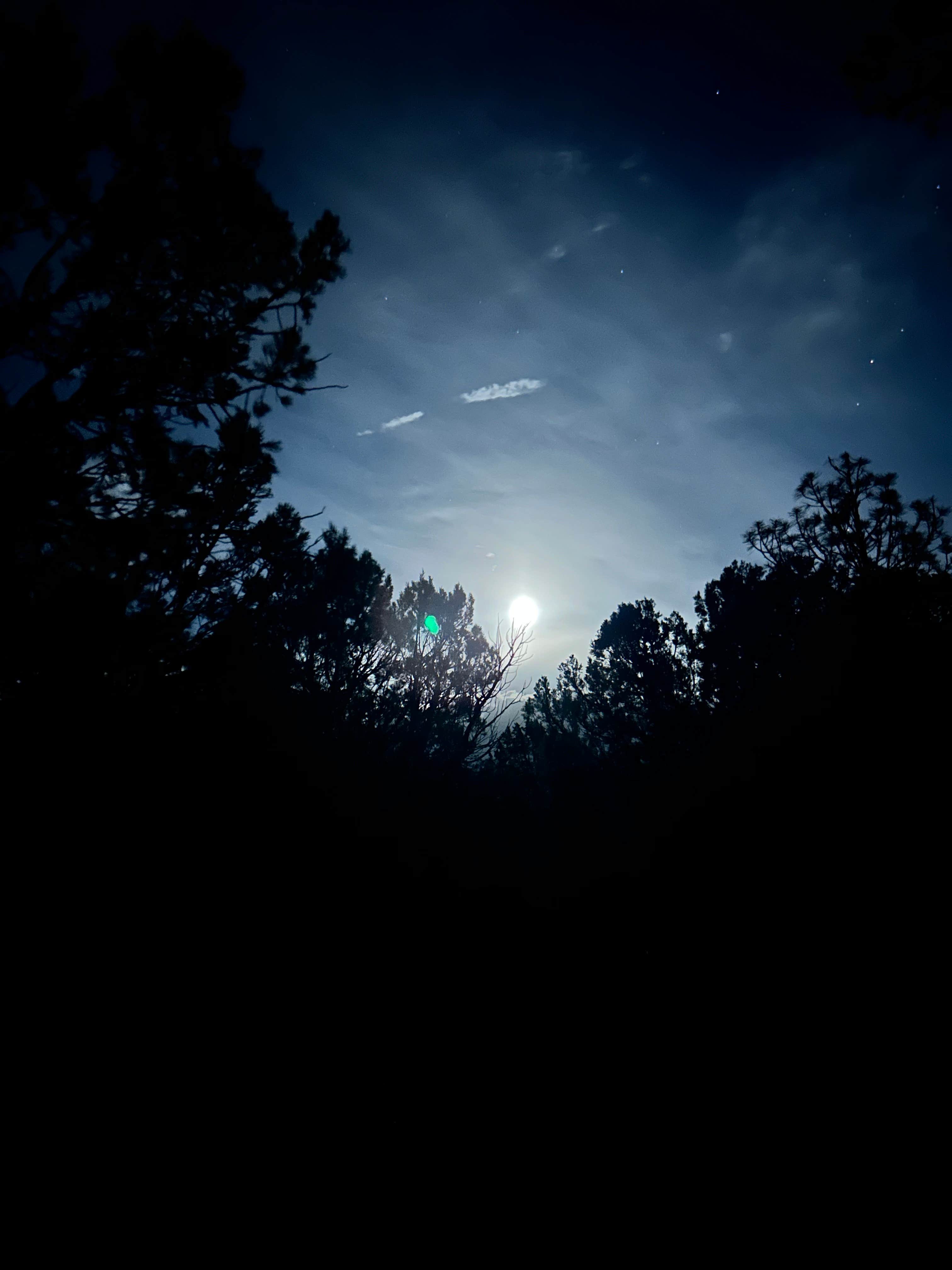 Camper-submitted photo at Timber Mesa Trailhead near Whiteriver, AZ