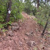 Review photo of Timber Mesa Trailhead by Robert H., June 25, 2024