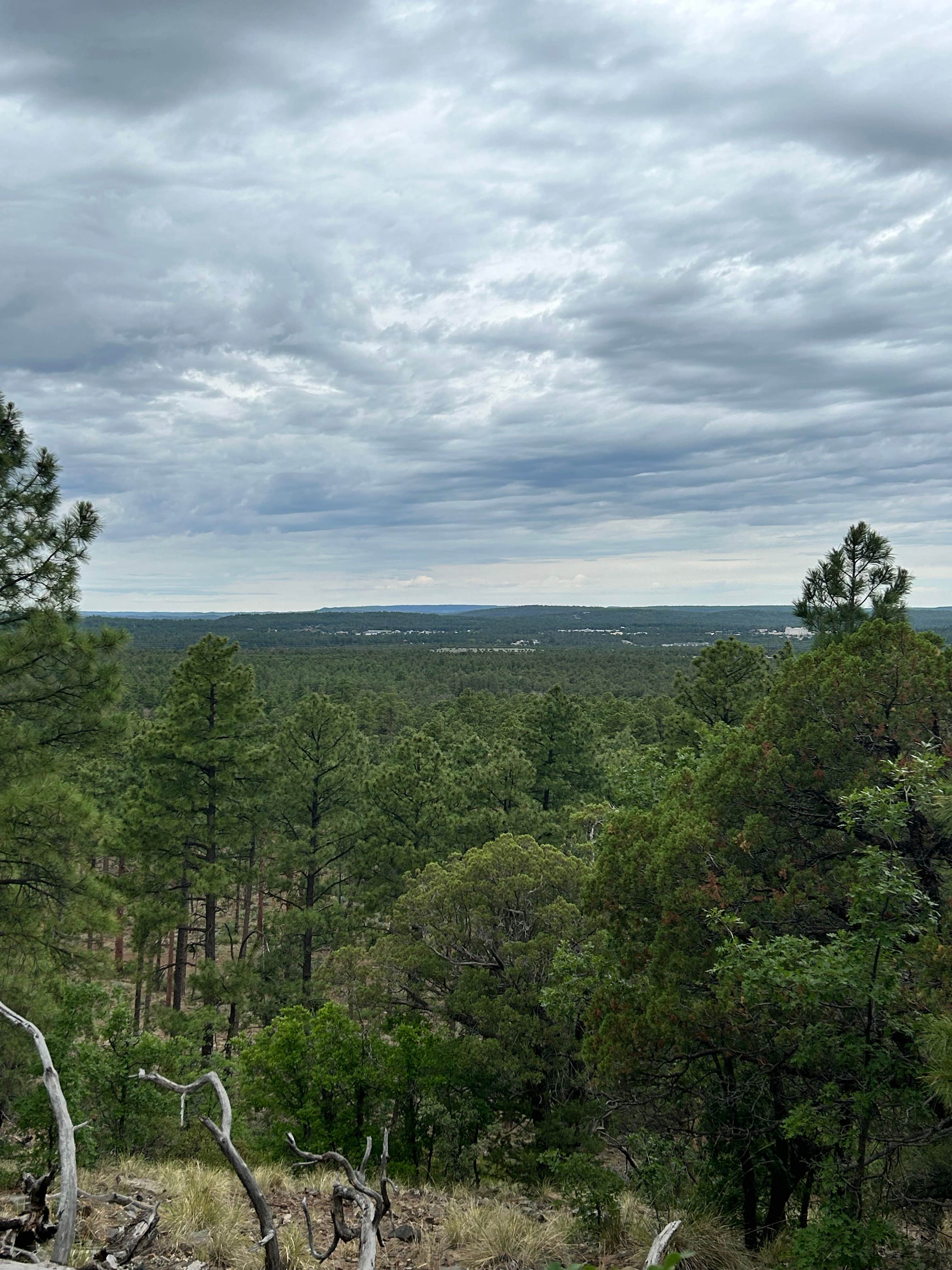 Robert H.'s photo of a dispersed camping area at Timber Mesa Trailhead near Whiteriver, AZ