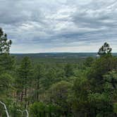 Review photo of Timber Mesa Trailhead by Robert H., June 25, 2024