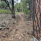 Review photo of Timber Mesa Trailhead by Robert H., June 25, 2024