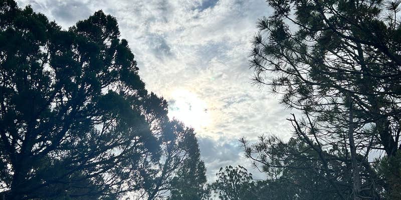 Camper submitted image from Timber Mesa Trailhead