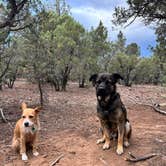 Review photo of Timber Mesa Trailhead by Robert H., June 25, 2024