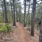 Review photo of Timber Mesa Trailhead by Robert H., June 25, 2024