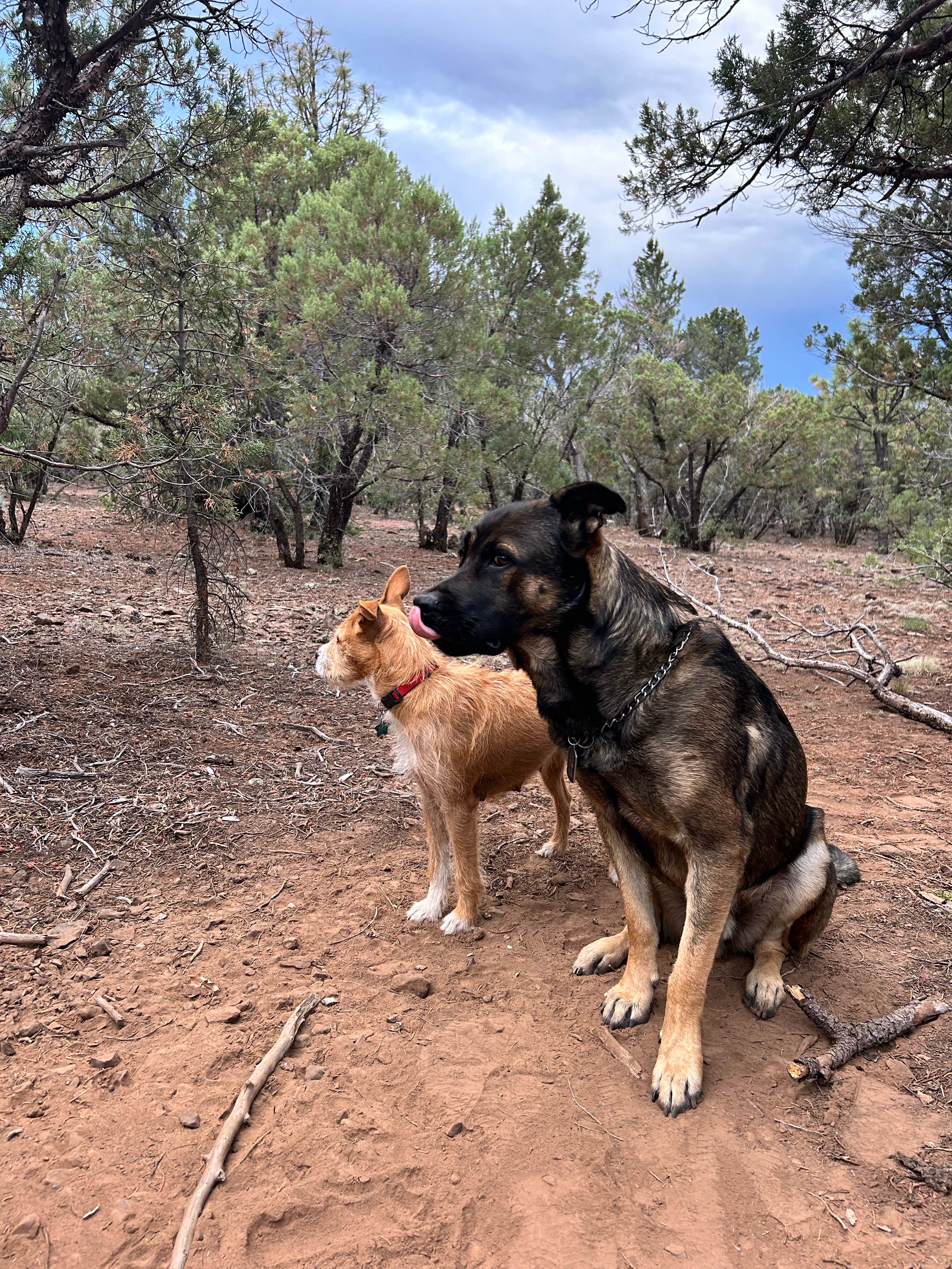 Timber Mesa Trailhead