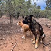 Review photo of Timber Mesa Trailhead by Robert H., June 25, 2024