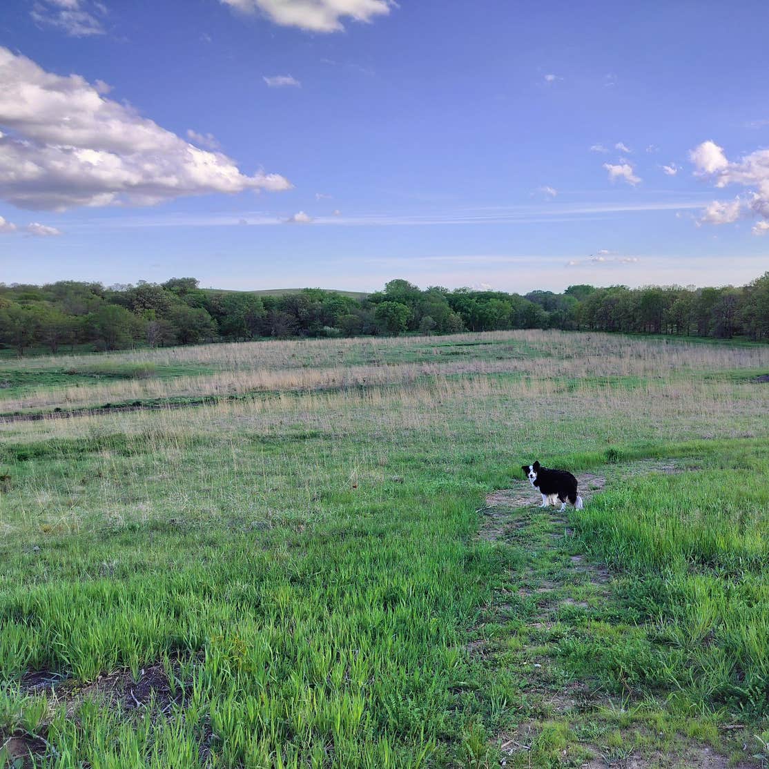 Timber Point Wetland Camping | Brainard, NE