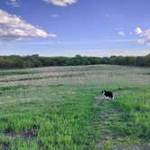 Review photo of Timber Point Wetland by Gabriel H., May 11, 2024