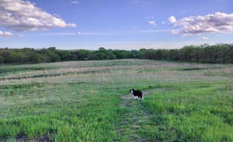 Gabriel H.'s photo of camping with pets at Timber Point Wetland near Lincoln, NE