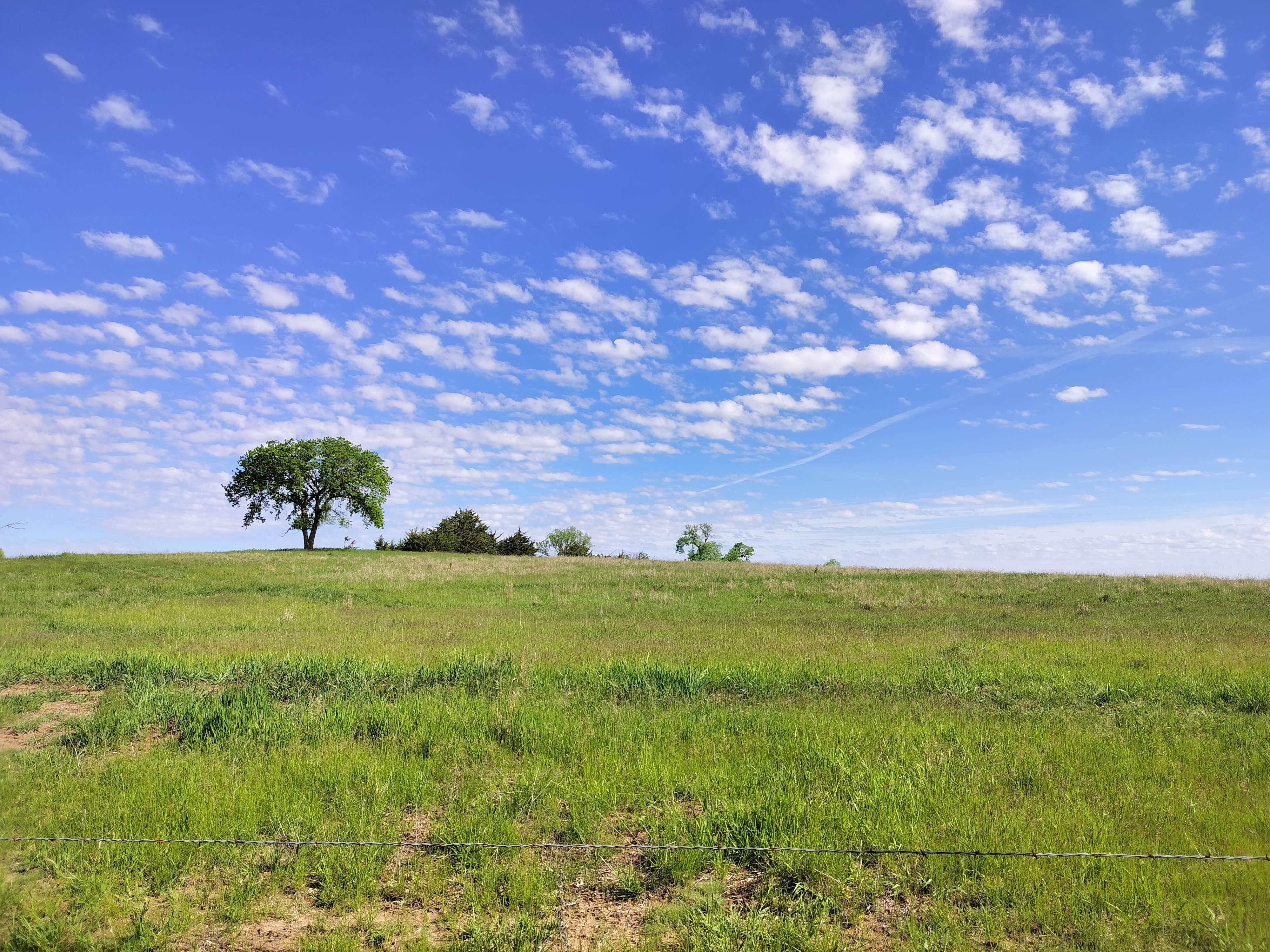 Camper-submitted photo at Timber Point Wetland near Brainard, NE